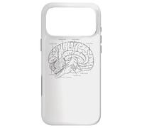 Custodia per iPhone 17 Pro Max Fun Brain Anatomy Psych Neuroscienze Parti della scienza del cervello