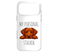 Custodia per iPhone 17 Pro Max Funny Fox Red Labrador Dog Owner