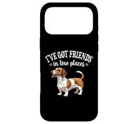 Custodia per iPhone 17 Pro Max Funny Friends In Low Places Brown Piebald Dachshund Lover