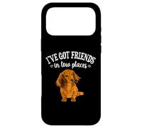 Custodia per iPhone 17 Pro Max Funny Friends In Low Places Long Haired Dachshund Lover