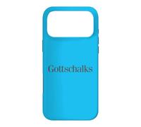 Custodia per iPhone 17 Pro Max Gottschalks Grandi magazzini Vintage Logo Retro Shopping