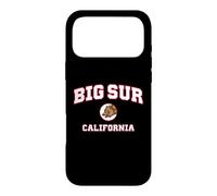 Custodia per iPhone 17 Pro Max Grande Sur California (CA)