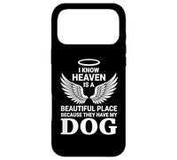 Custodia per iPhone 17 Pro Max In memoria del paradiso del cane angelo