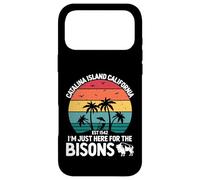 Custodia per iPhone 17 Pro Max Isola di Catalina Vacanze in California Palm Catalina Island