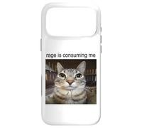 Custodia per iPhone 17 Pro Max La rabbia mi sta consumando sciocco che fissa il meme del gatto