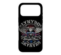 Custodia per iPhone 17 Pro Max Lynyrd Skynyrd Simple Man Tour 2012 Regali retrò Opera d'arte