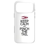 Custodia per iPhone 17 Pro Max Mantieni la calma e pizzica l'aragosta