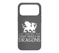 Custodia per iPhone 17 Pro Max Mi è stato detto che ci sarebbe stato un drago medievale Ren Faire Jousting