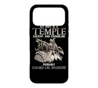 Custodia per iPhone 17 Pro Max My Body Is A Temple Ancient Crumbling Probably Cursed