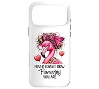 Custodia per iPhone 17 Pro Max Never Forget How Flamazing You Are Flamingo Teacher Amazing