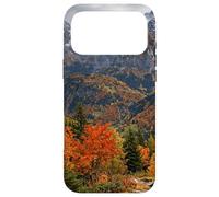 Custodia per iPhone 17 Pro Max Paesaggio panoramico delle cime delle montagne della valle d'autunno al