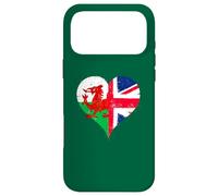 Custodia per iPhone 17 Pro Max Piccola Bandiera Gallese e Union Jack Per Orgoglio Galles