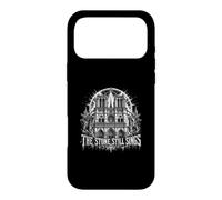 Custodia per iPhone 17 Pro Max Pietre ancora cantano Cattedrale gotica Parigi