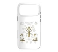 Custodia per iPhone 17 Pro Max Pregare Mantide Anatomia Vintage Field Guide Art