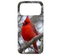 Custodia per iPhone 17 Pro Max Regalo ispiratore Heaven Sends Birds A Sign Cardinal
