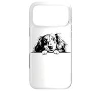 Custodia per iPhone 17 Pro Max Retro Vintage Logo Black Long Haired Dachshund Dog Lover