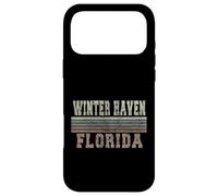 Custodia per iPhone 17 Pro Max Rifugio invernale retrò Florida
