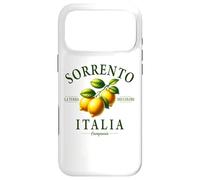 Custodia per iPhone 17 Pro Max Sorrento Italia Limoni La Città dei Colori Campania