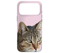 Custodia per iPhone 17 Pro Max Splendida Tabby Cat Close Up Foto Ritratto Isolato