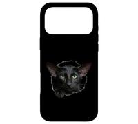Custodia per iPhone 17 Pro Max Striking Black Oriental Shorthair Cat che sbircia attraverso