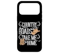 Custodia per iPhone 17 Pro Max Testo della canzone di Country Roads Take Me Home Cute