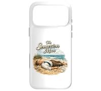 Custodia per iPhone 17 Pro Max The Somerton Man Unsolved Beach Mystery