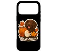 Custodia per iPhone 17 Pro Max Tis The Season Boykin Spaniel Dog Autunno Autunno Zucca Spice
