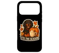 Custodia per iPhone 17 Pro Max Tis The Season Gordon Setter Dog Autunno Autunno Zucca Spice