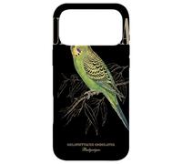 Custodia per iPhone 17 Pro Max Vintage Budgerigar Bird Watching Arte Natura Amore Uccelli