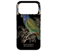 Custodia per iPhone 17 Pro Max Vintage pionus dalla testa blu birdwatching natura uccelli amore