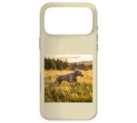 Custodia per iPhone 17 Pro Max Weimaraner - Campi in esecuzione al tramonto