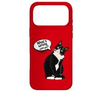 Custodia per iPhone 17 Pro Max What is wrong with you? Cat Funny Humor