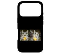 Custodia per iPhone 17 Pro Meme di Silly Staring Cat, divertente disegno felino