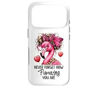 Custodia per iPhone 17 Pro Never Forget How Flamazing You Are Flamingo Teacher Amazing