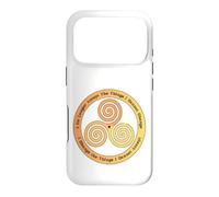 Custodia per iPhone 17 Pro Non accetto più le cose che non posso cambiare il triskelion