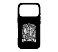 Custodia per iPhone 17 Pro Numa e la legge di Egeria dalla primavera di Roma