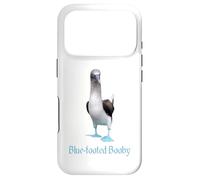 Custodia per iPhone 17 Pro Ornitologia della razza di uccelli Booby dai piedi blu