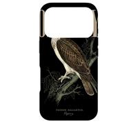Custodia per iPhone 17 Pro Osprey Bird Watching Art Art Nature Love Birds