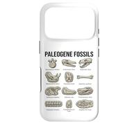 Custodia per iPhone 17 Pro Paleogene Fossili Paleontologia Scientifica Arte