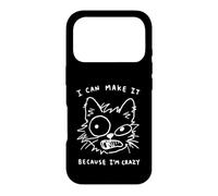 Custodia per iPhone 17 Pro Posso farcela perché sono pazzo, Funny Cat Doodle Positivity