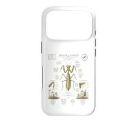 Custodia per iPhone 17 Pro Pregare Mantide Anatomia Vintage Field Guide Art