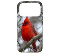Custodia per iPhone 17 Pro Regalo ispiratore Heaven Sends Birds A Sign Cardinal