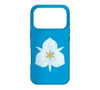 Custodia per iPhone 17 Pro SALE LAGO CITTÀ UTAH BANDIERA SEGO LILLY