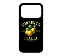 Custodia per iPhone 17 Pro Sorrento Italia La Città dei Colori Campania Limoni