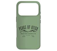 Custodia per iPhone 17 Pro Souvenir con le cime di Otter Bedford County Virginia