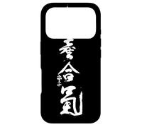 Custodia per iPhone 17 Pro Takemusu AIki, Aikido