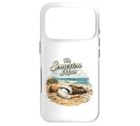 Custodia per iPhone 17 Pro The Somerton Man Unsolved Beach Mystery