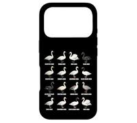 Custodia per iPhone 17 Pro Tipi di cigni - Ornitologia della tabella globale delle specie di cigno