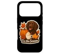 Custodia per iPhone 17 Pro Tis The Season Boykin Spaniel Dog Autunno Autunno Zucca Spice