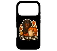 Custodia per iPhone 17 Pro Tis The Season Gordon Setter Dog Autunno Autunno Zucca Spice